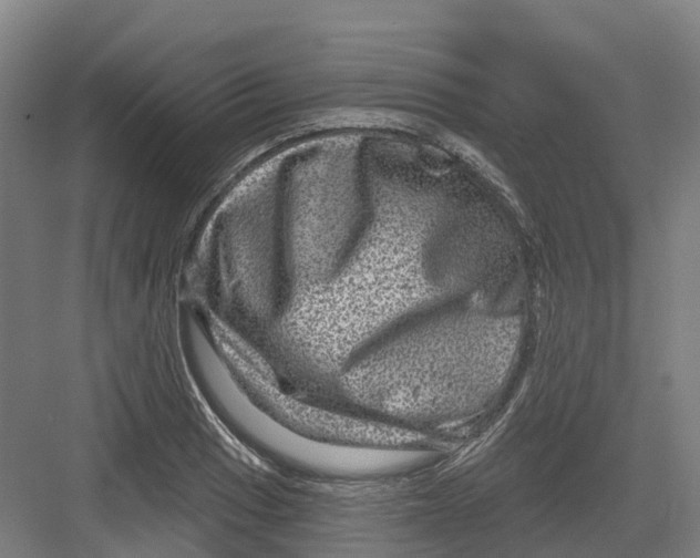 X0000082761033200702162020