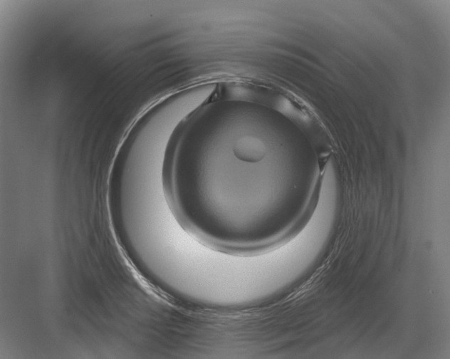 X0000082761034200702162020