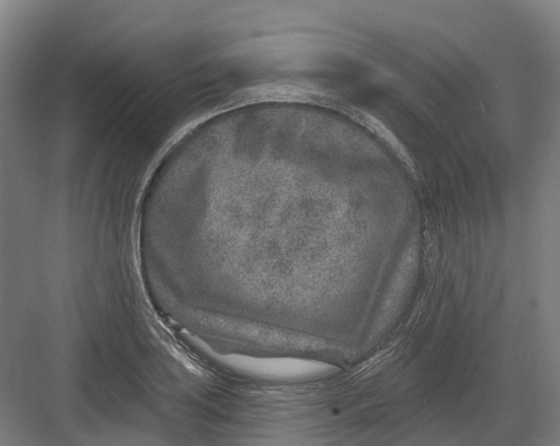 X0000082761035200702162020