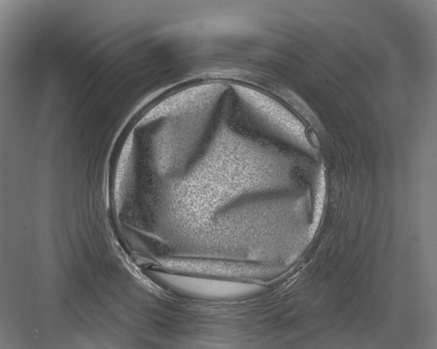 X0000082761036200702162020