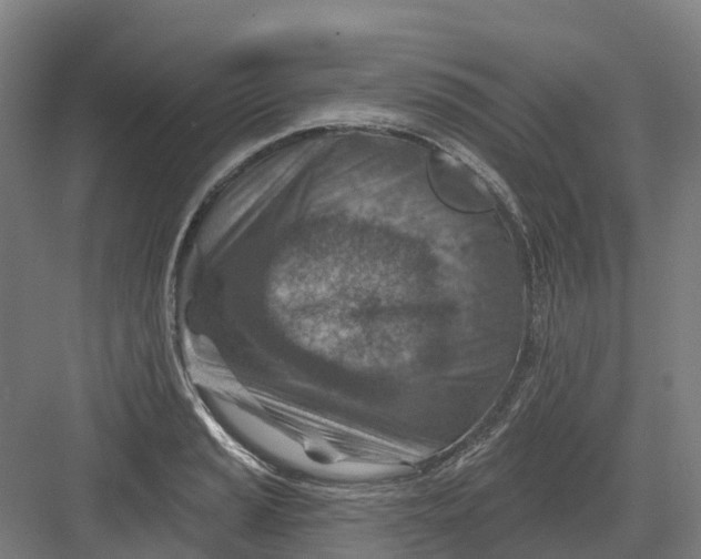 X0000082761037200702162020