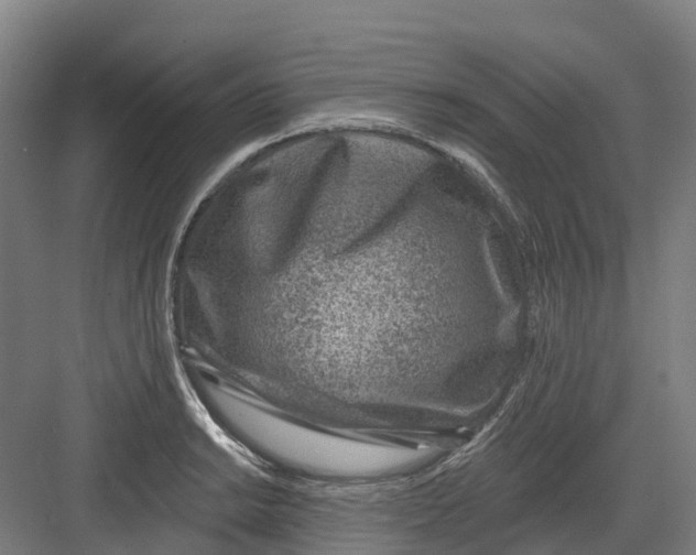 X0000082761038200702162020