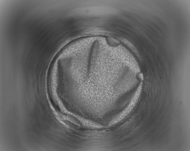 X0000082761039200702162020