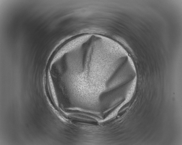 X0000082761040200702162020