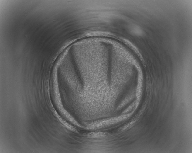 X0000082761041200702162020