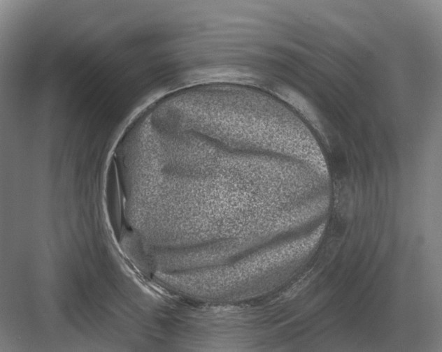 X0000082761043200702162020