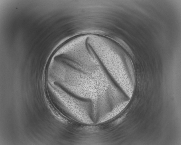 X0000082761044200702162020