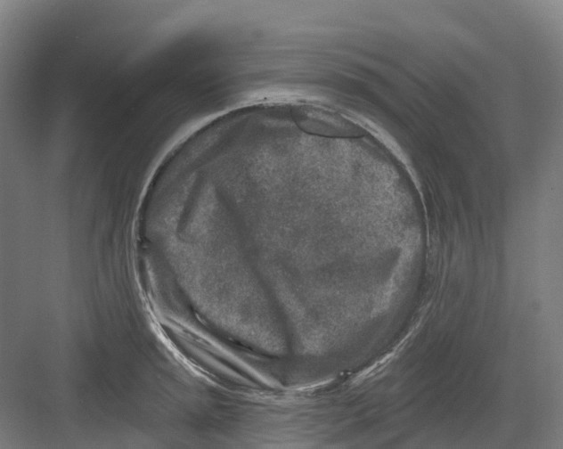 X0000082761045200702162020