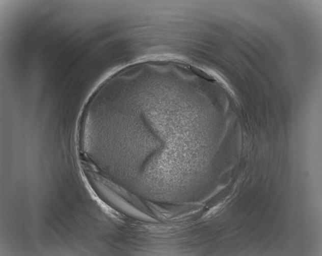 X0000082761046200702162020