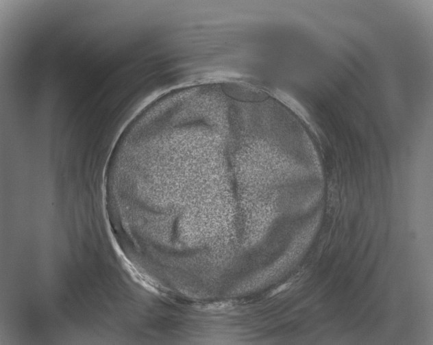 X0000082761047200702162020