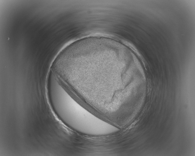 X0000082761048200702162020