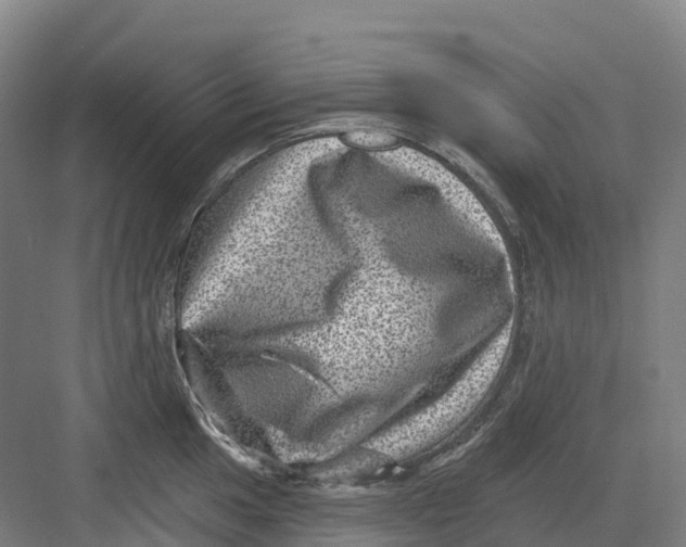 X0000082761049200702162020