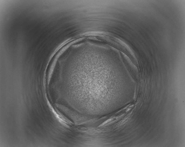 X0000082761050200702162020