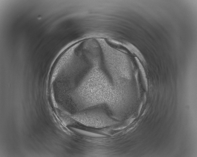 X0000082761052200702162020