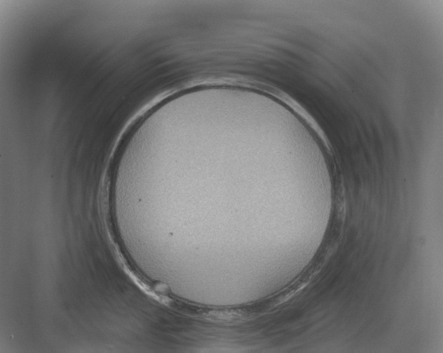 X0000082761053200702162020