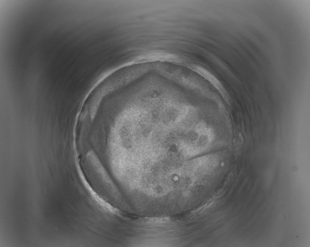 X0000082761055200702162020