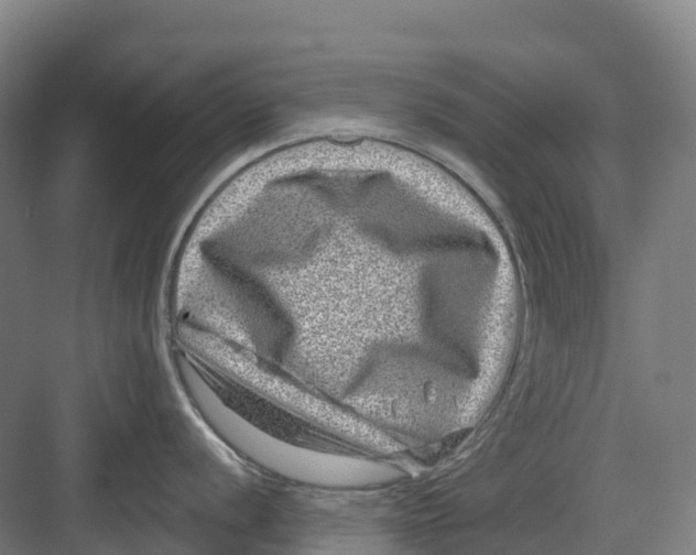 X0000082761056200702162020