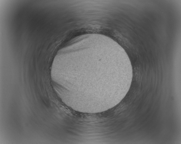 X0000082761057200702162019