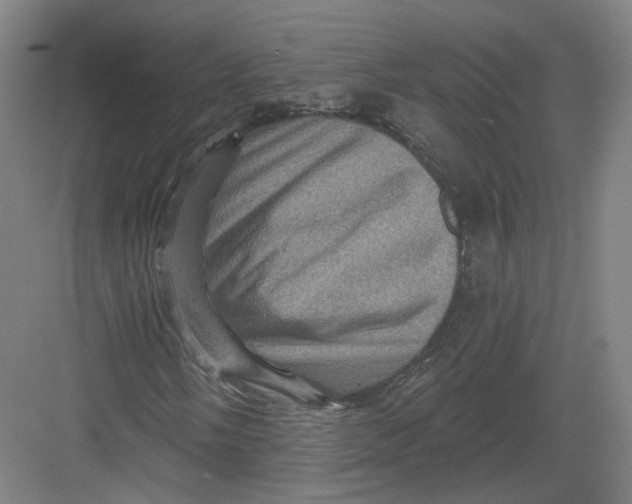 X0000082761058200702162019