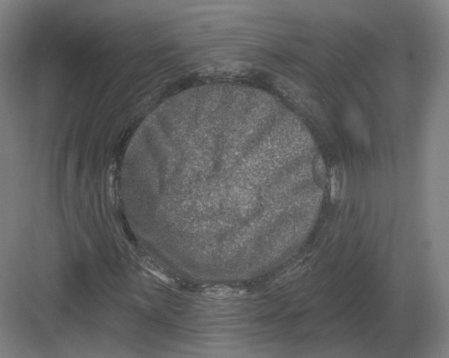 X0000082761059200702162019