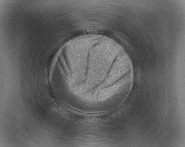 X0000082761060200702162019