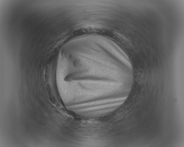 X0000082761061200702162019