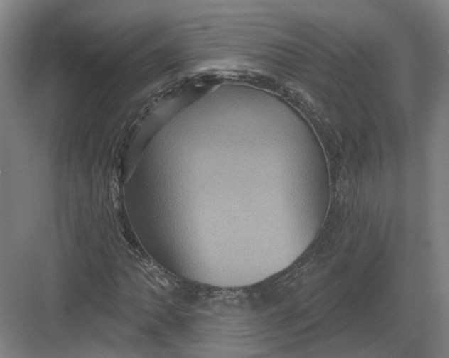 X0000082761062200702162019