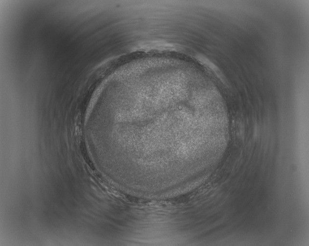 X0000082761063200702162019