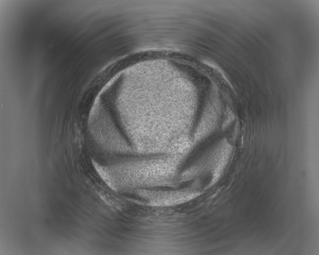 X0000082761064200702162019