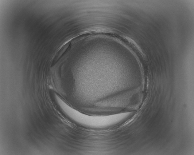 X0000082761065200702162019