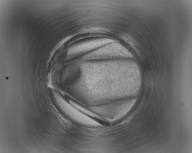 X0000082761066200702162019