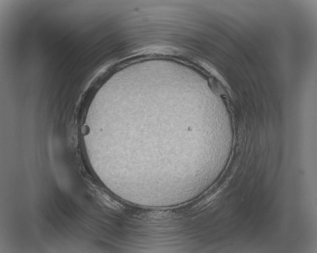 X0000082761067200702162019