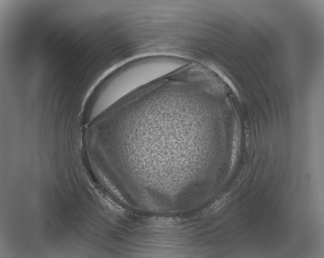 X0000082761069200702162019