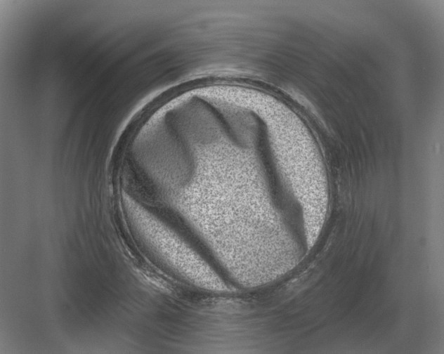 X0000082761070200702162019