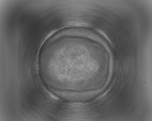 X0000082761071200702162019