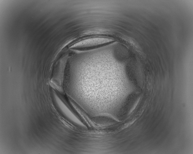 X0000082761073200702162019