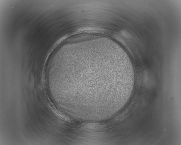 X0000082761074200702162019