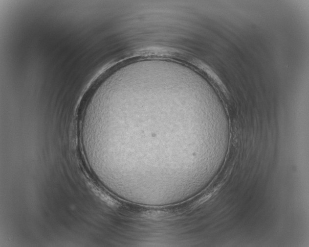 X0000082761075200702162019