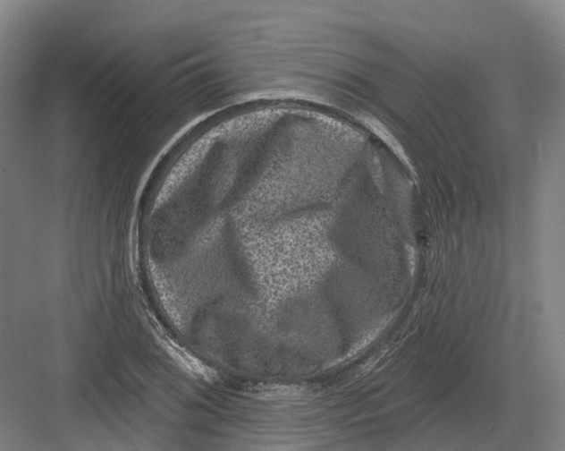 X0000082761076200702162019