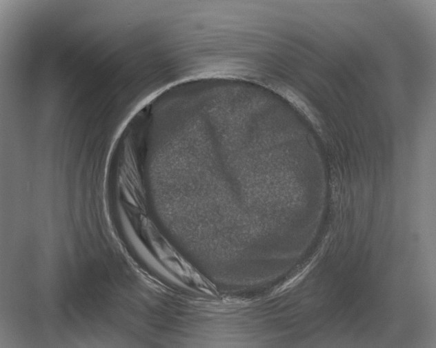 X0000082761077200702162019