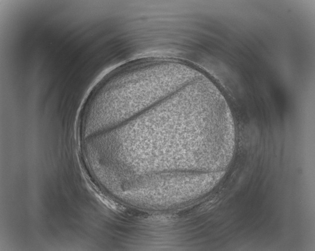 X0000082761078200702162019