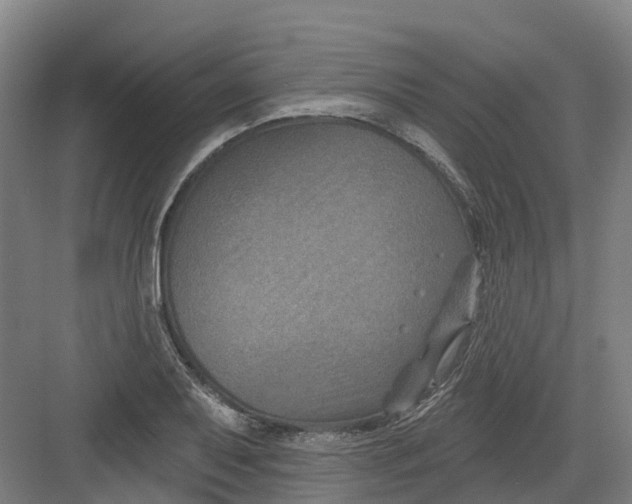 X0000082761079200702162019