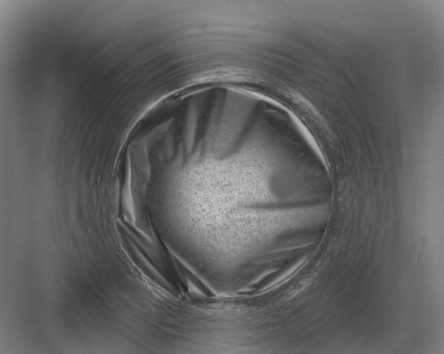 X0000082761081200702162019