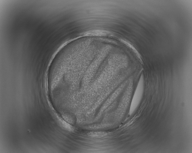 X0000082761083200702162019