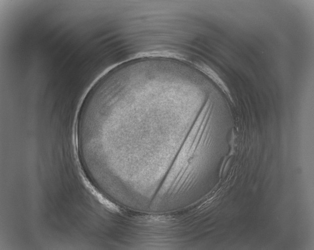 X0000082761084200702162019