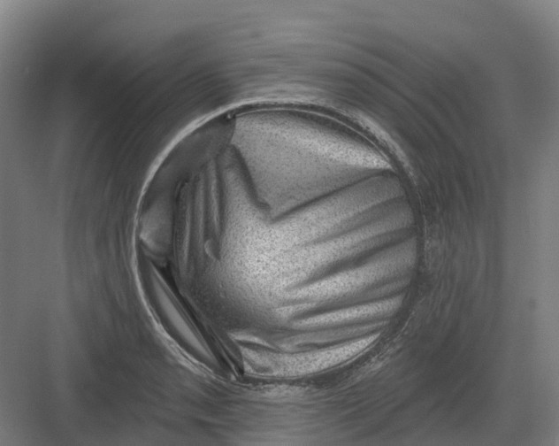 X0000082761085200702162019