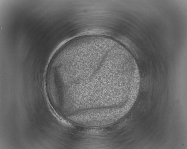 X0000082761086200702162019