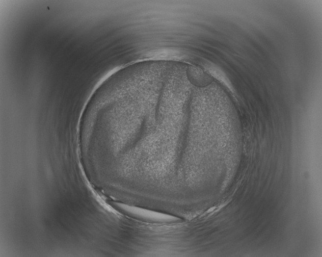 X0000082761087200702162019