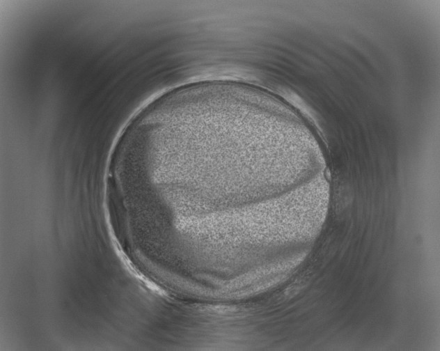 X0000082761088200702162019