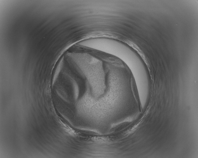 X0000082761089200702162019